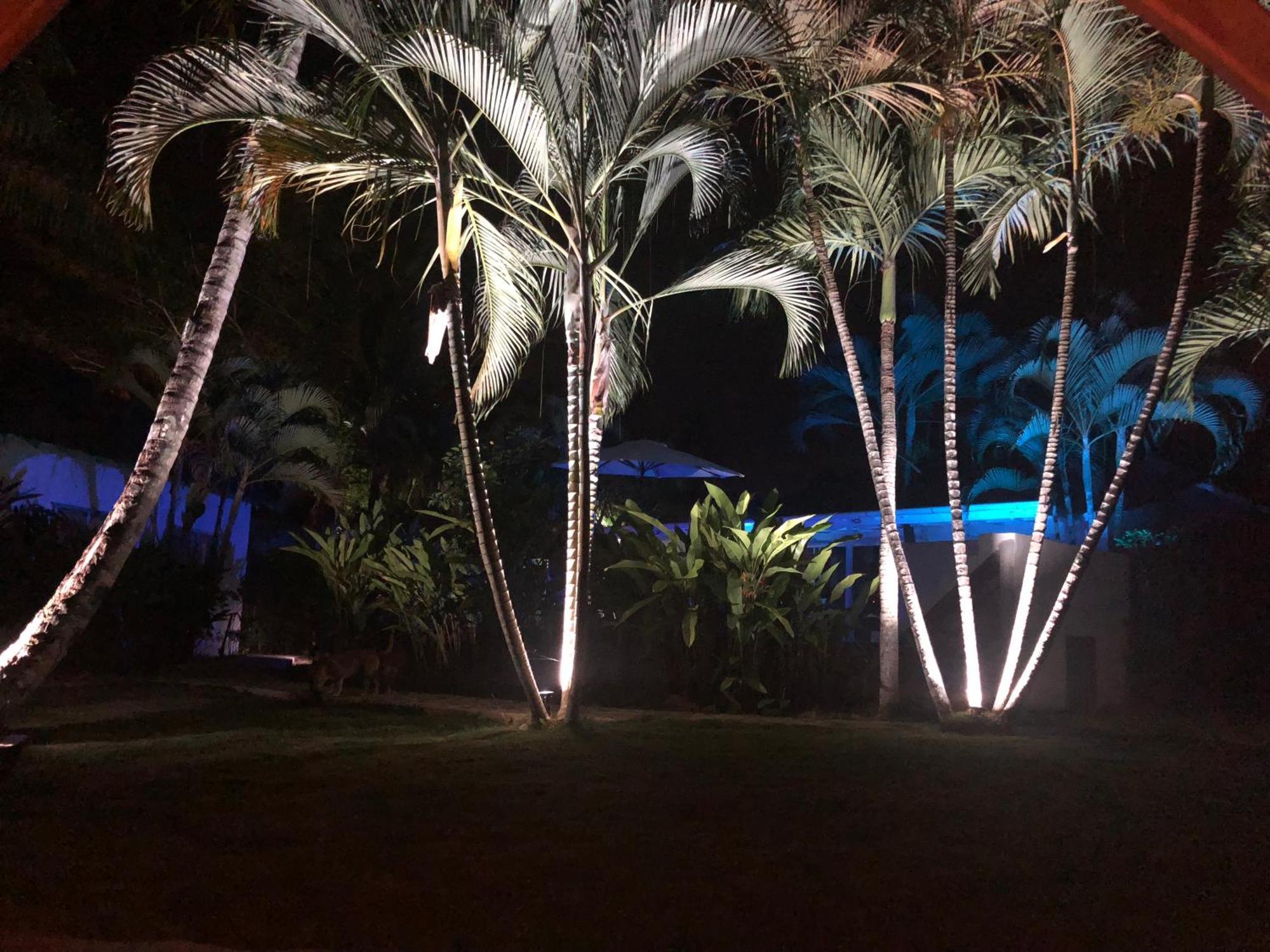 Casa Barbara Hotel Las Terrenas Exterior photo