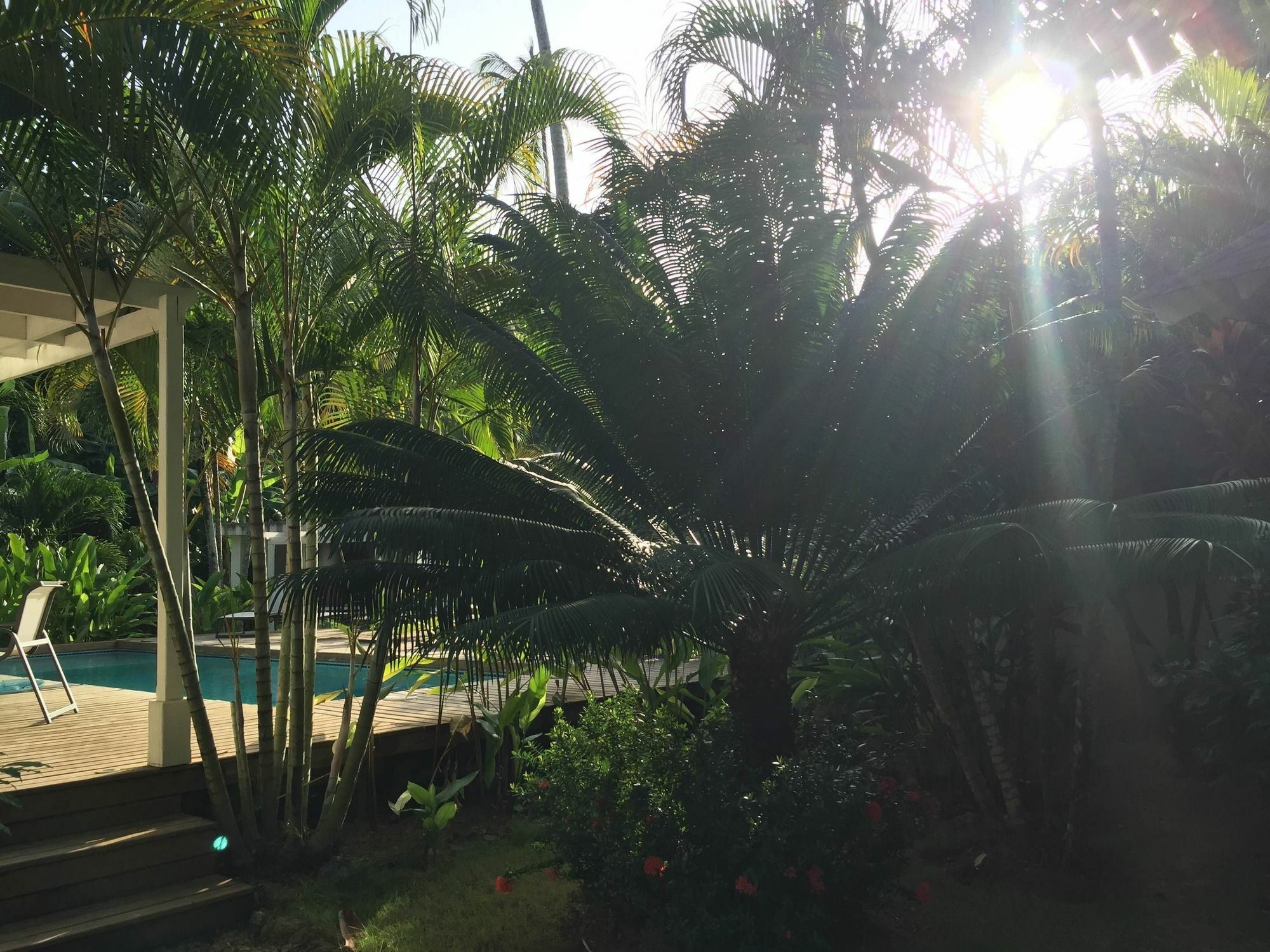 Casa Barbara Hotel Las Terrenas Exterior photo